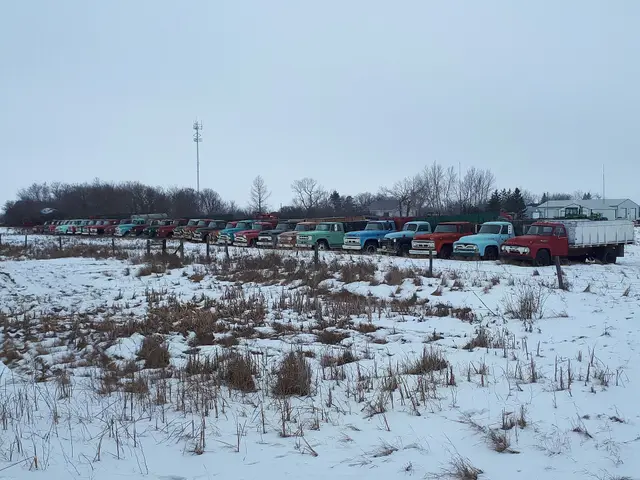 Row of vintage trucks in winter